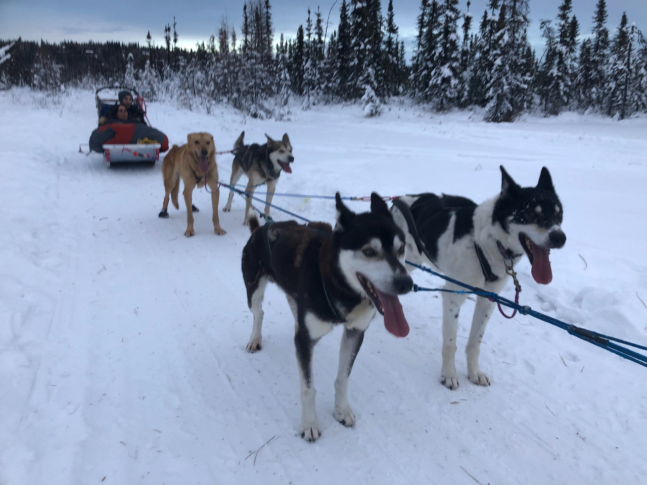 Fairbanks: The Magic of Interior Alaska